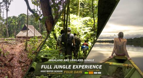Amazon Experience Jungle Tours | Amazon Experience Jungle Tours Leticia