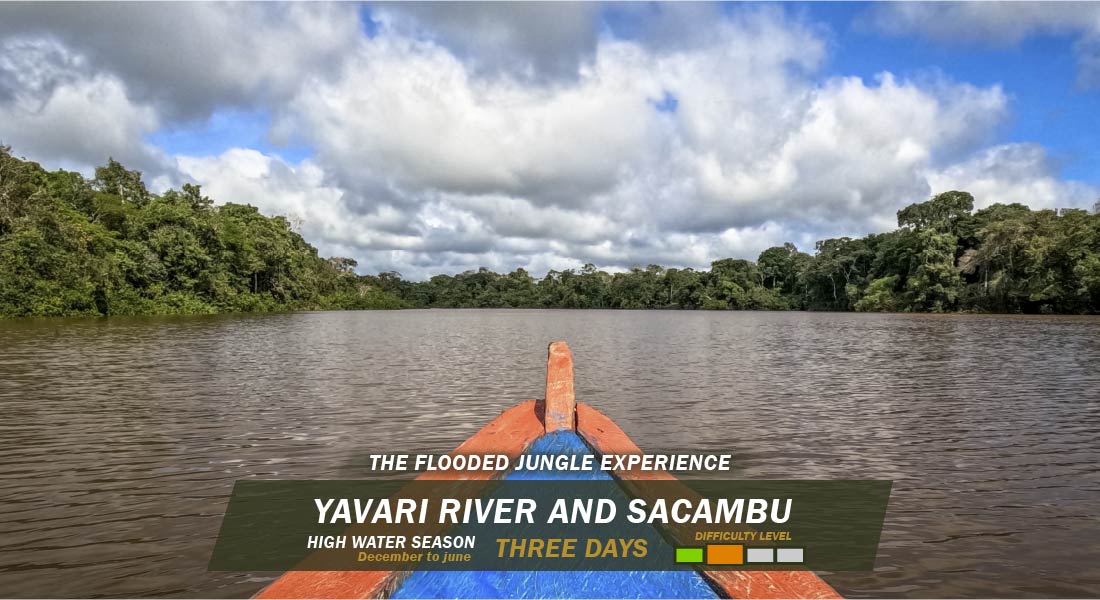 Javari River Tour