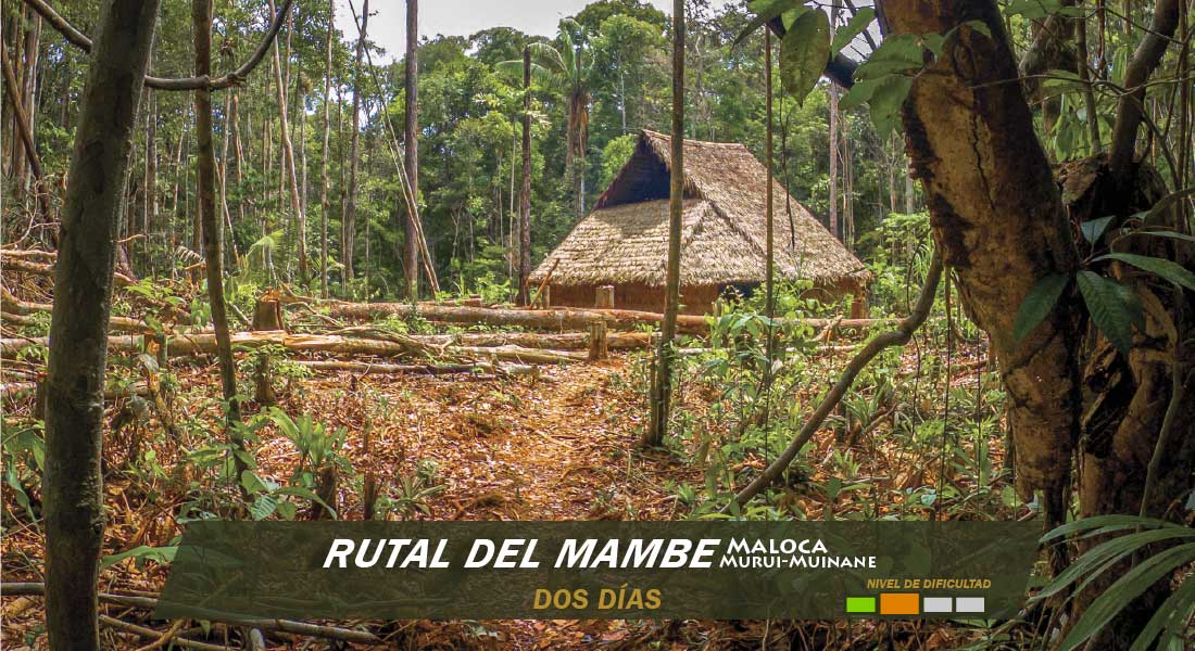 Ruta del Mambe Ruta del Mambe dos días tour