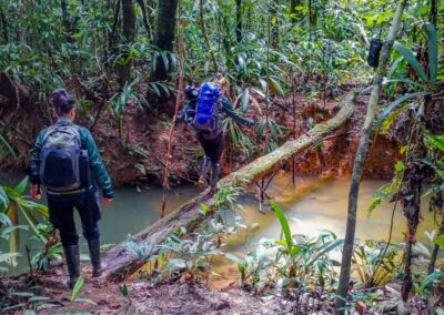 Jungle trek
