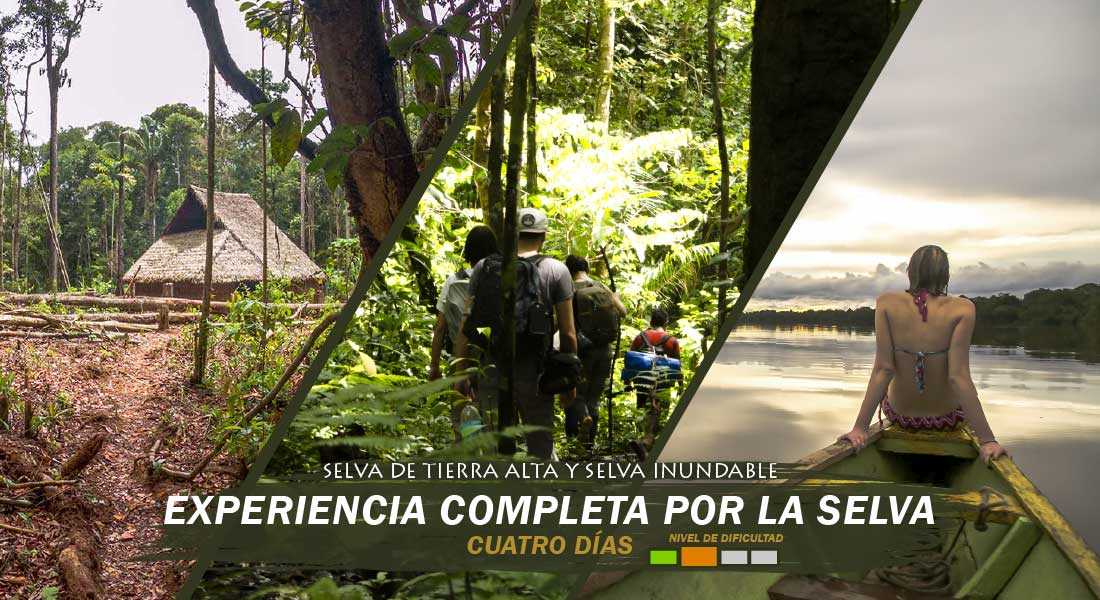 Experiencia Completa de Selva cuatro dias Experiencia Completa de Selva cuatro dias tour