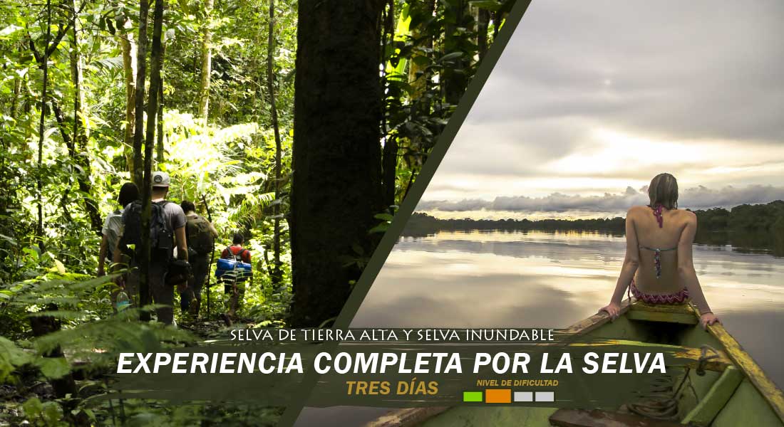 Experiencia Completa de Selva tres dias Experiencia Completa de Selva tres dias tour