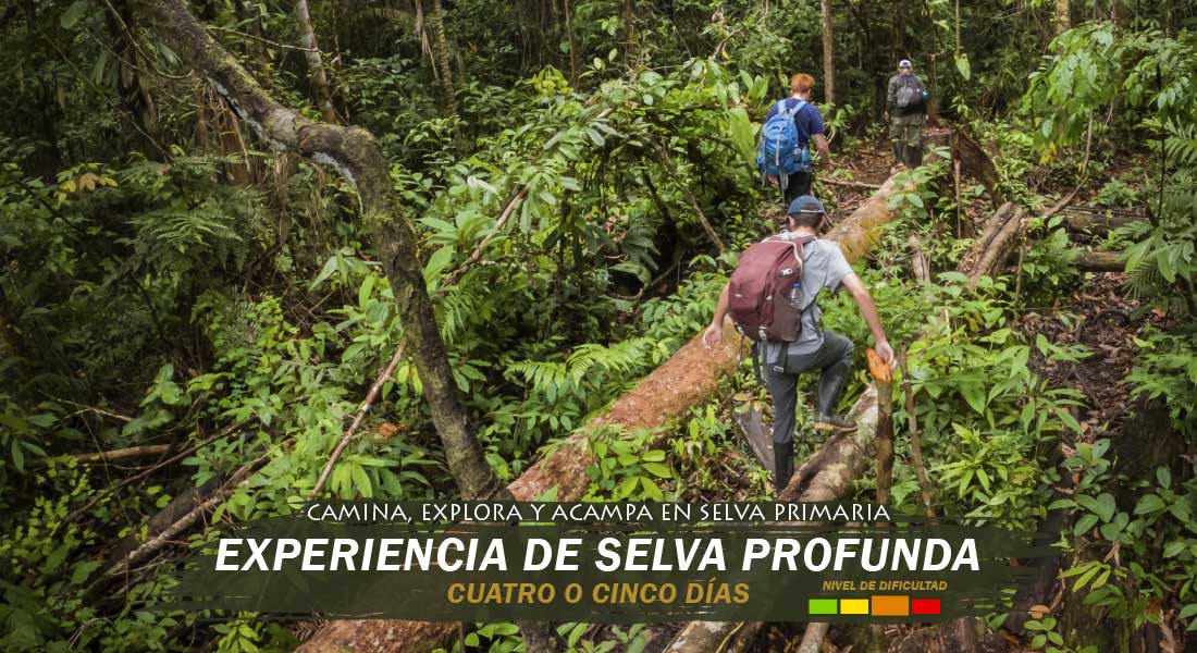 Experiencia Selva Profunda cuatro dias Experiencia Selva Profunda cuatro dias tour