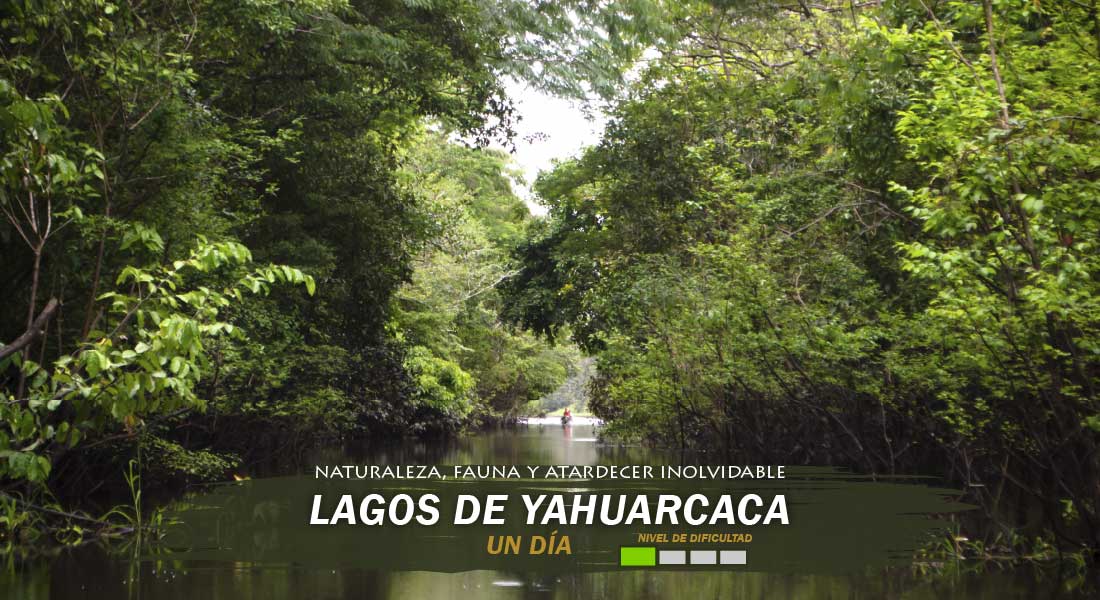 Lagos Yahuarcaca Lagos Yahuarcaca tour