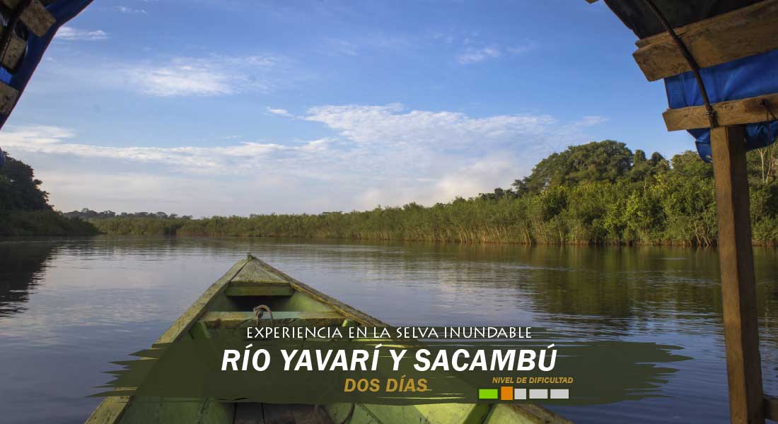 Rio Javari dos dias Rio Javari dos dias tour