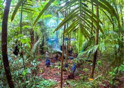 Camp in the jungle