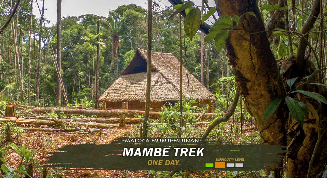 Mambe Trek tour