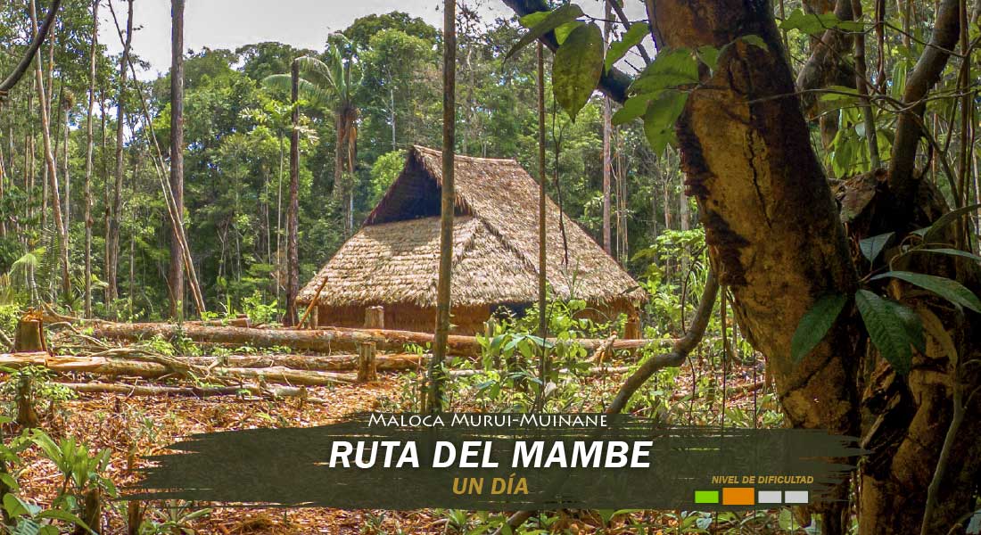 Ruta del Mambe tour
